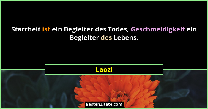 Starrheit ist ein Begleiter des Todes, Geschmeidigkeit ein Begleiter des Lebens.... - Laozi