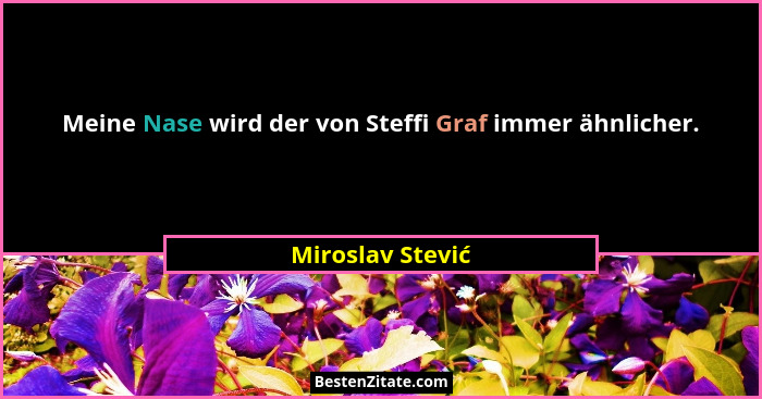 Meine Nase wird der von Steffi Graf immer ähnlicher.... - Miroslav Stević
