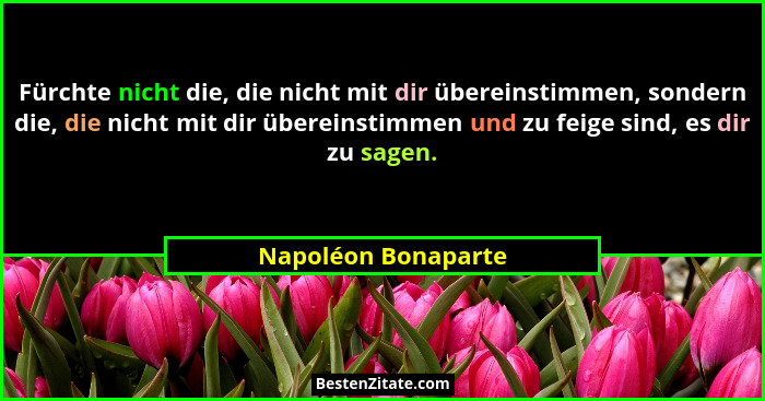 Fürchte nicht die, die nicht mit dir übereinstimmen, sondern die, die nicht mit dir übereinstimmen und zu feige sind, es dir zu s... - Napoléon Bonaparte