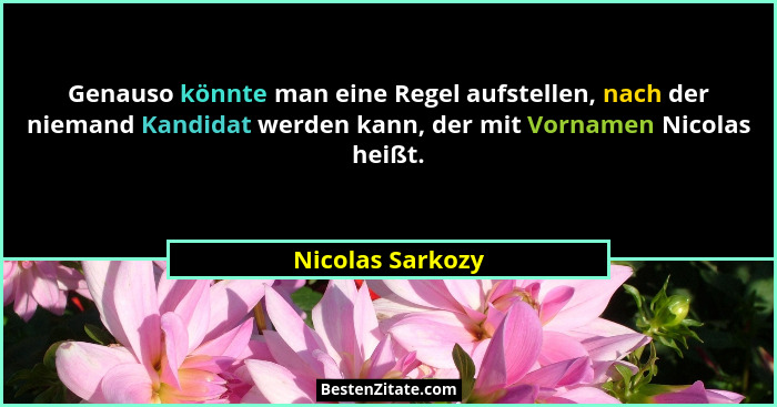 Genauso könnte man eine Regel aufstellen, nach der niemand Kandidat werden kann, der mit Vornamen Nicolas heißt.... - Nicolas Sarkozy