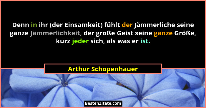 Denn in ihr (der Einsamkeit) fühlt der Jämmerliche seine ganze Jämmerlichkeit, der große Geist seine ganze Größe, kurz jeder sic... - Arthur Schopenhauer