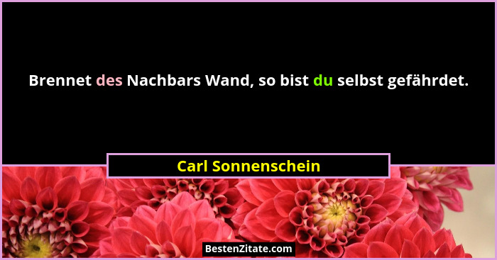 Brennet des Nachbars Wand, so bist du selbst gefährdet.... - Carl Sonnenschein