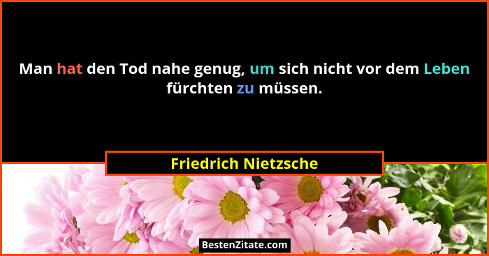Man hat den Tod nahe genug, um sich nicht vor dem Leben fürchten zu müssen.... - Friedrich Nietzsche