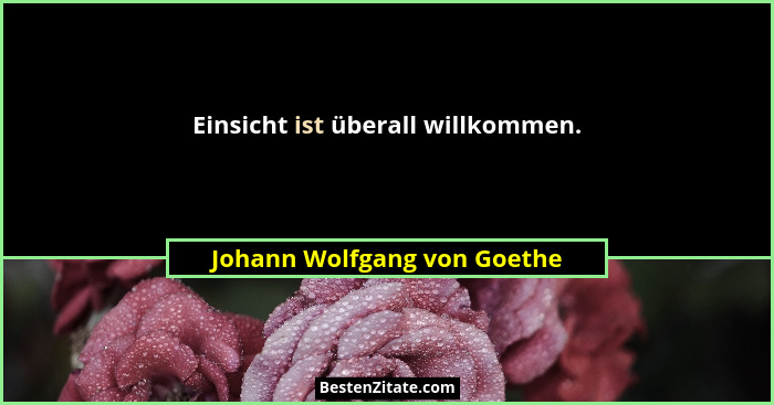 Einsicht ist überall willkommen.... - Johann Wolfgang von Goethe