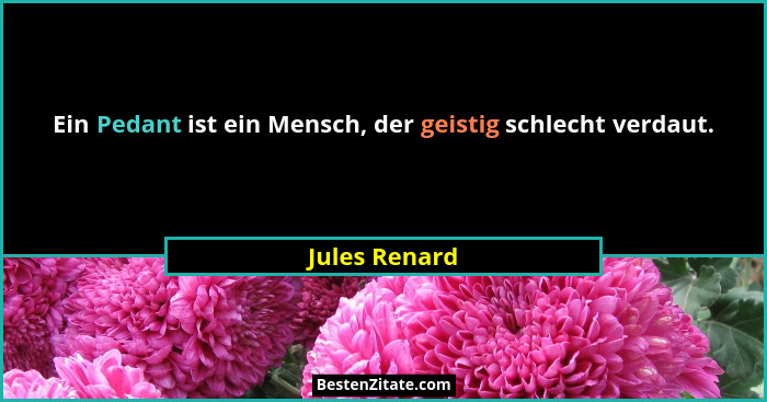 Ein Pedant ist ein Mensch, der geistig schlecht verdaut.... - Jules Renard