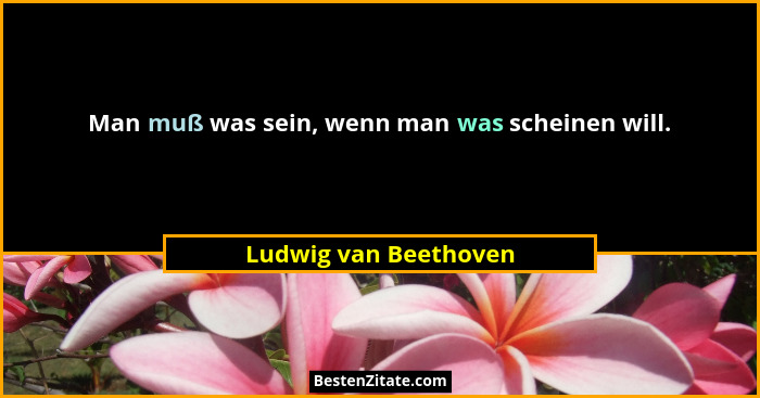 Man muß was sein, wenn man was scheinen will.... - Ludwig van Beethoven