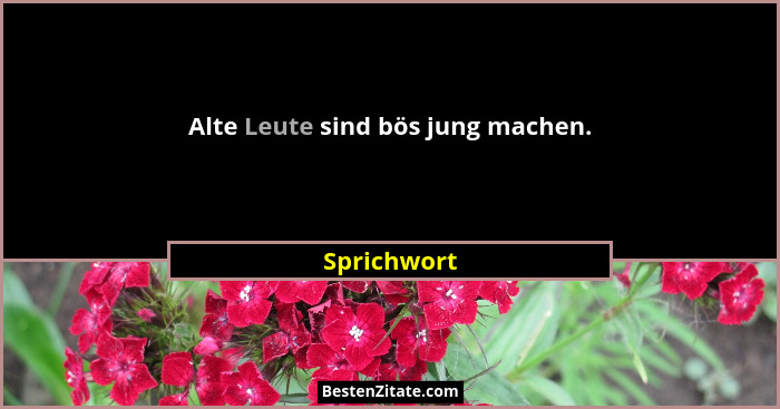 Alte Leute sind bös jung machen.... - Sprichwort