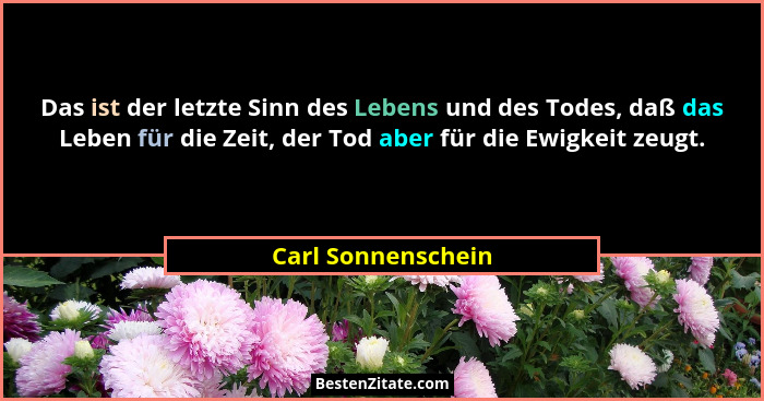 Das ist der letzte Sinn des Lebens und des Todes, daß das Leben für die Zeit, der Tod aber für die Ewigkeit zeugt.... - Carl Sonnenschein
