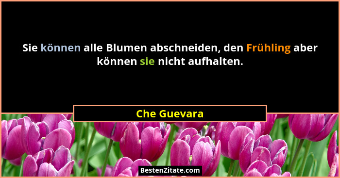 Sie können alle Blumen abschneiden, den Frühling aber können sie nicht aufhalten.... - Che Guevara
