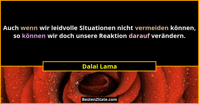 Auch wenn wir leidvolle Situationen nicht vermeiden können, so können wir doch unsere Reaktion darauf verändern.... - Dalai Lama