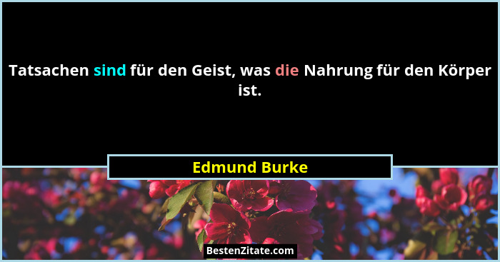Tatsachen sind für den Geist, was die Nahrung für den Körper ist.... - Edmund Burke