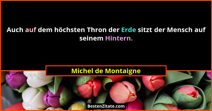 Auch auf dem höchsten Thron der Erde sitzt der Mensch auf seinem Hintern.... - Michel de Montaigne