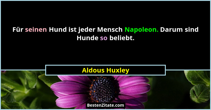 Für seinen Hund ist jeder Mensch Napoleon. Darum sind Hunde so beliebt.... - Aldous Huxley