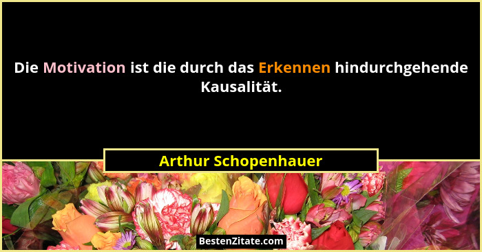 Die Motivation ist die durch das Erkennen hindurchgehende Kausalität.... - Arthur Schopenhauer