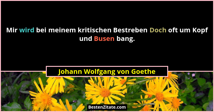 Mir wird bei meinem kritischen Bestreben Doch oft um Kopf und Busen bang.... - Johann Wolfgang von Goethe