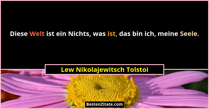 Diese Welt ist ein Nichts, was ist, das bin ich, meine Seele.... - Lew Nikolajewitsch Tolstoi
