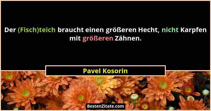 Der (Fisch)teich braucht einen größeren Hecht, nicht Karpfen mit größeren Zähnen.... - Pavel Kosorin