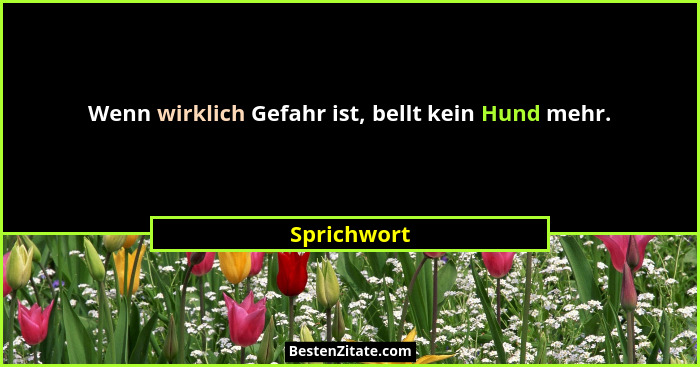 Wenn wirklich Gefahr ist, bellt kein Hund mehr.... - Sprichwort