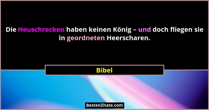 Die Heuschrecken haben keinen König – und doch fliegen sie in geordneten Heerscharen.... - Bibel