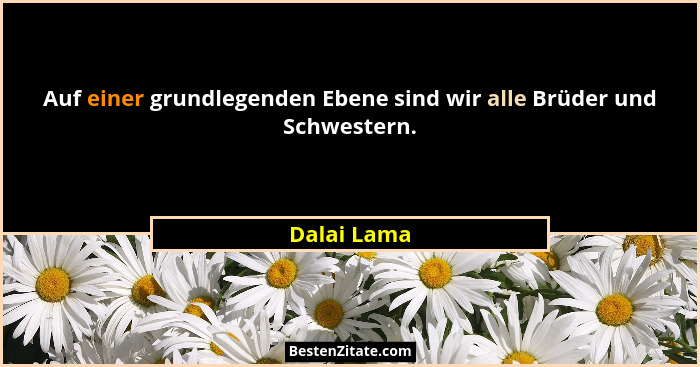 Auf einer grundlegenden Ebene sind wir alle Brüder und Schwestern.... - Dalai Lama