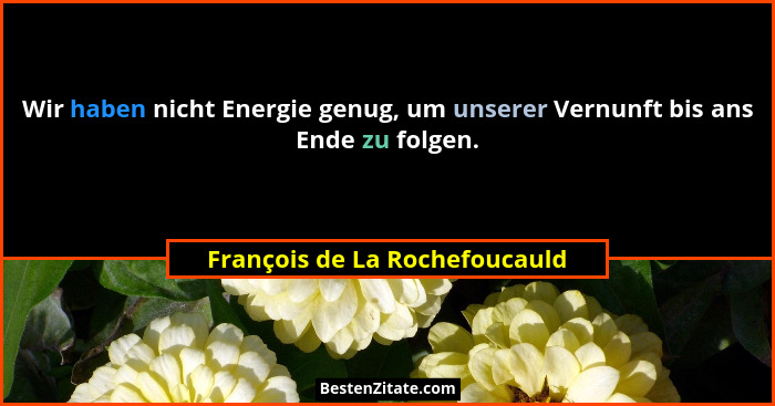 Wir haben nicht Energie genug, um unserer Vernunft bis ans Ende zu folgen.... - François de La Rochefoucauld