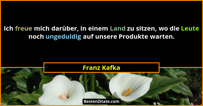 Ich freue mich darüber, in einem Land zu sitzen, wo die Leute noch ungeduldig auf unsere Produkte warten.... - Franz Kafka