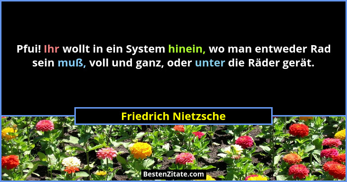 Pfui! Ihr wollt in ein System hinein, wo man entweder Rad sein muß, voll und ganz, oder unter die Räder gerät.... - Friedrich Nietzsche