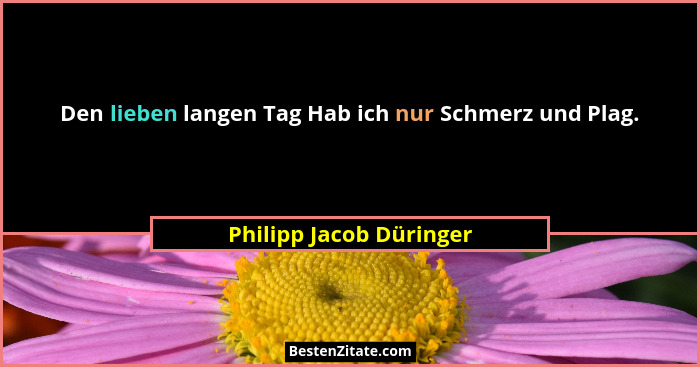 Den lieben langen Tag Hab ich nur Schmerz und Plag.... - Philipp Jacob Düringer