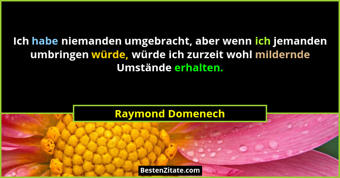 Ich habe niemanden umgebracht, aber wenn ich jemanden umbringen würde, würde ich zurzeit wohl mildernde Umstände erhalten.... - Raymond Domenech
