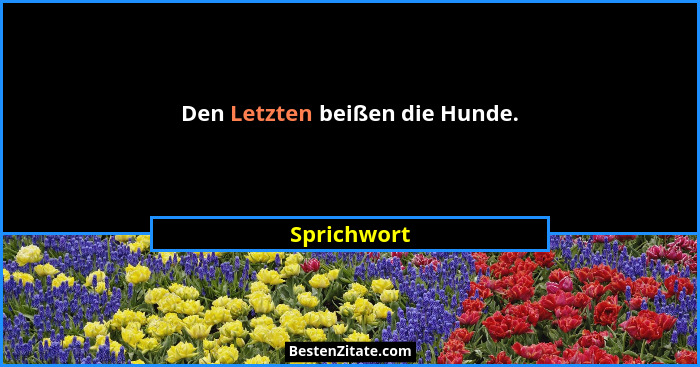 Den Letzten beißen die Hunde.... - Sprichwort