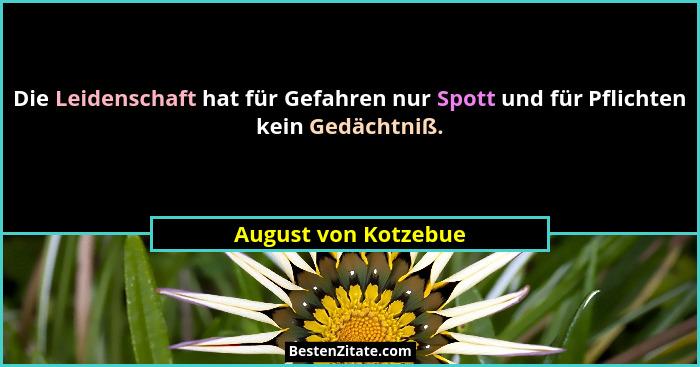 Die Leidenschaft hat für Gefahren nur Spott und für Pflichten kein Gedächtniß.... - August von Kotzebue