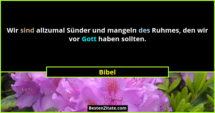 Wir sind allzumal Sünder und mangeln des Ruhmes, den wir vor Gott haben sollten.... - Bibel