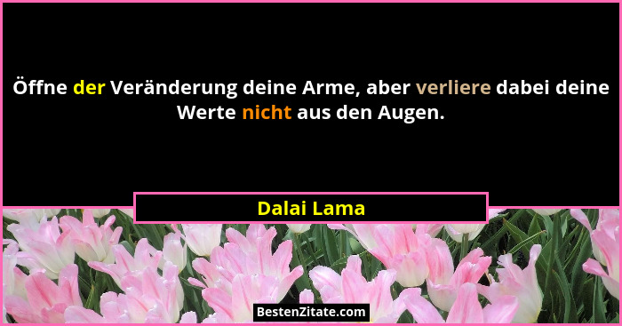 Öffne der Veränderung deine Arme, aber verliere dabei deine Werte nicht aus den Augen.... - Dalai Lama
