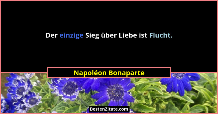 Der einzige Sieg über Liebe ist Flucht.... - Napoléon Bonaparte