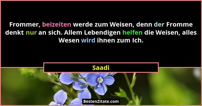 Frommer, beizeiten werde zum Weisen, denn der Fromme denkt nur an sich. Allem Lebendigen helfen die Weisen, alles Wesen wird ihnen zum Ich.... - Saadi