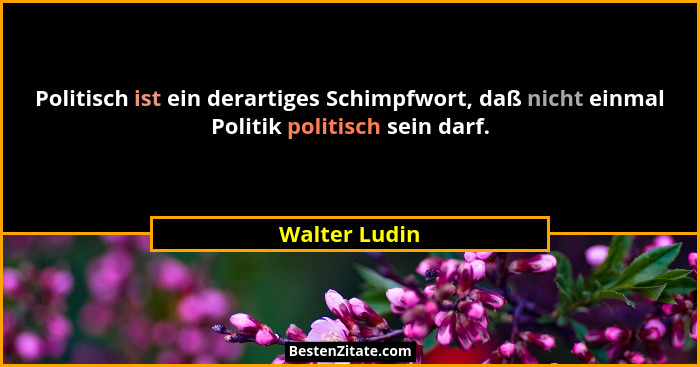 Politisch ist ein derartiges Schimpfwort, daß nicht einmal Politik politisch sein darf.... - Walter Ludin