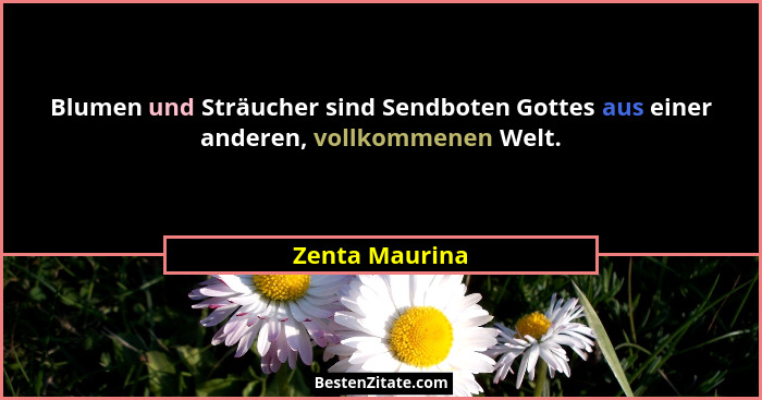 Blumen und Sträucher sind Sendboten Gottes aus einer anderen, vollkommenen Welt.... - Zenta Maurina