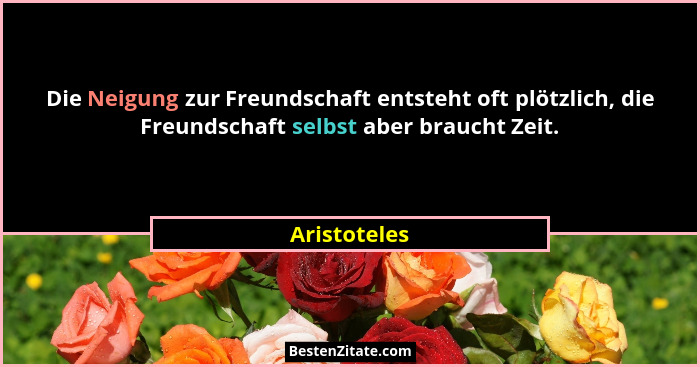 Die Neigung zur Freundschaft entsteht oft plötzlich, die Freundschaft selbst aber braucht Zeit.... - Aristoteles
