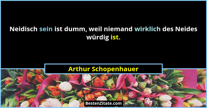 Neidisch sein ist dumm, weil niemand wirklich des Neides würdig ist.... - Arthur Schopenhauer
