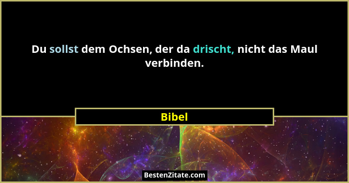Du sollst dem Ochsen, der da drischt, nicht das Maul verbinden.... - Bibel