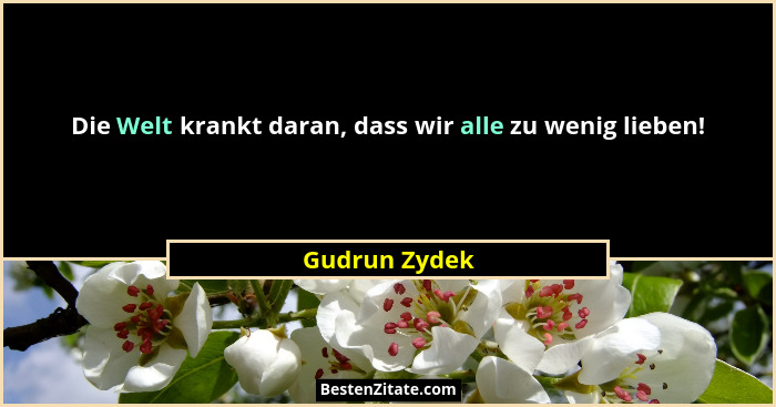 Die Welt krankt daran, dass wir alle zu wenig lieben!... - Gudrun Zydek