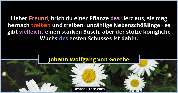 Lieber Freund, brich du einer Pflanze das Herz aus, sie mag hernach treiben und treiben, unzählige Nebenschößlinge - es g... - Johann Wolfgang von Goethe