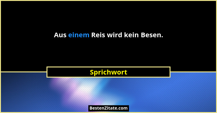 Aus einem Reis wird kein Besen.... - Sprichwort