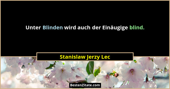 Unter Blinden wird auch der Einäugige blind.... - Stanislaw Jerzy Lec