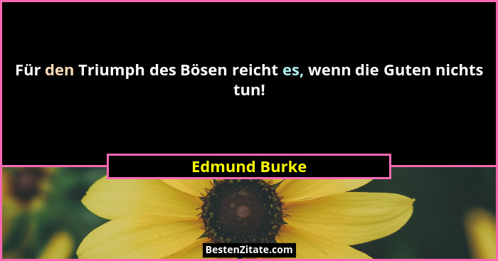 Für den Triumph des Bösen reicht es, wenn die Guten nichts tun!... - Edmund Burke