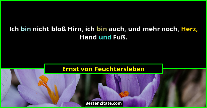Ich bin nicht bloß Hirn, ich bin auch, und mehr noch, Herz, Hand und Fuß.... - Ernst von Feuchtersleben