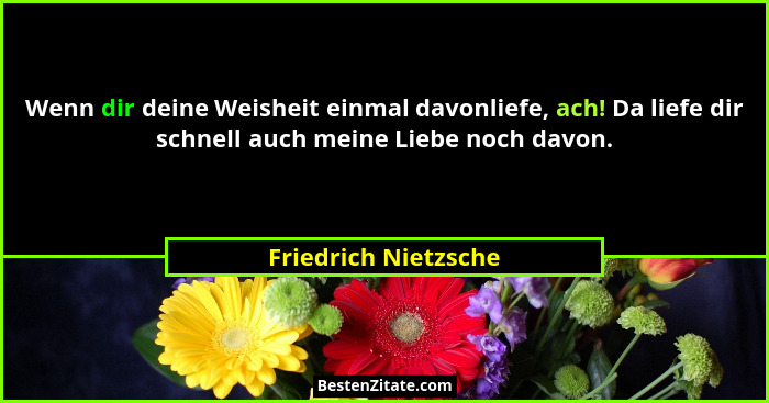 Wenn dir deine Weisheit einmal davonliefe, ach! Da liefe dir schnell auch meine Liebe noch davon.... - Friedrich Nietzsche