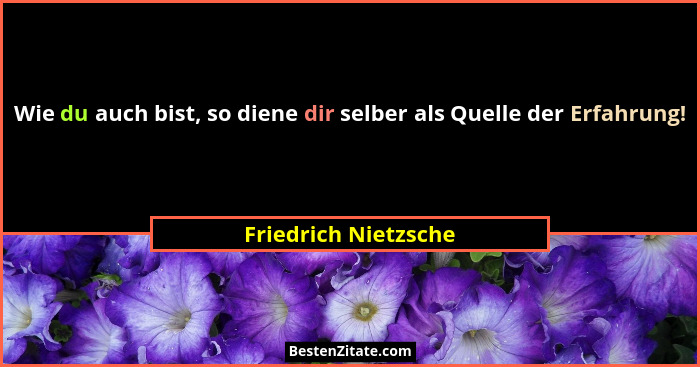 Wie du auch bist, so diene dir selber als Quelle der Erfahrung!... - Friedrich Nietzsche