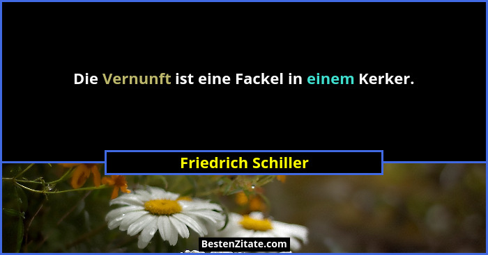 Die Vernunft ist eine Fackel in einem Kerker.... - Friedrich Schiller