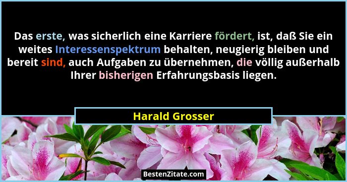 Das erste, was sicherlich eine Karriere fördert, ist, daß Sie ein weites Interessenspektrum behalten, neugierig bleiben und bereit si... - Harald Grosser